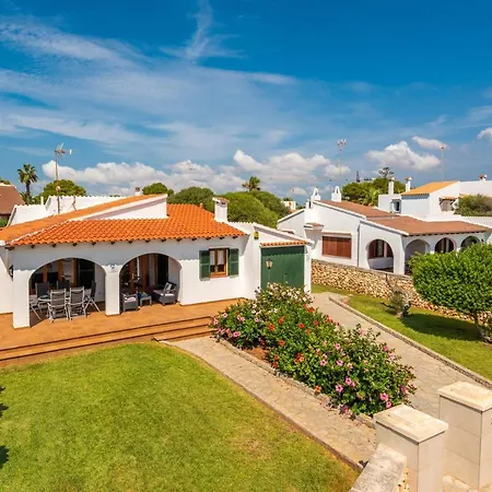 Petunia By * كالا ان بوسش